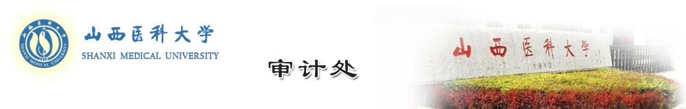審計(jì)處